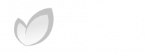 group_2087326835.png